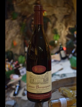 Bourgogne Coteaux Bourguignons 2020 Domaine Rapet